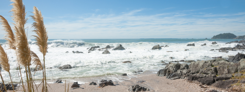 Coastal Design in Interior Design