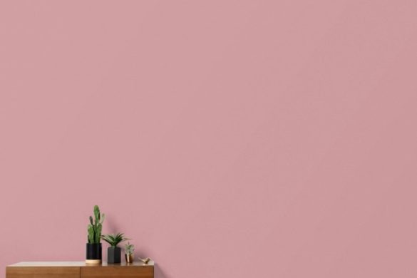 Blush Pink Delight – Pink – Pastel Elegance Peel and Stick Wallpaper;