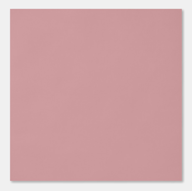 Blush Pink Delight – Pink – Pastel Elegance Peel and Stick Wallpaper